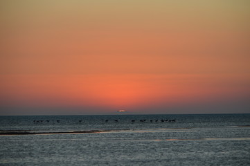 Fototapeta premium Sunset