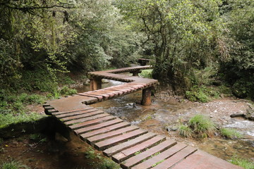  wooden bridge pathway a river in a mountain forest in Sichuan, China