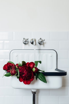 Water coming from enamel basin's spigot and watering a bouquet of burgundy peonies