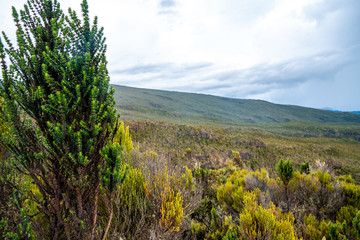 Beautiful landscape of Tanzania and Kenya from Kilimanjaro mountain.