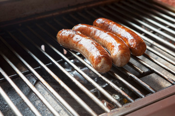 German style sausage