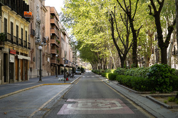 Fototapeta na wymiar Granada, Spain, May 5, 2020, city emptied in quarantine for the coronavirus