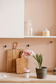 Potted flower on kitchen counter