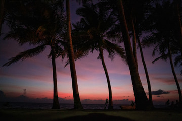 Beautiful pink sunsets at the beach