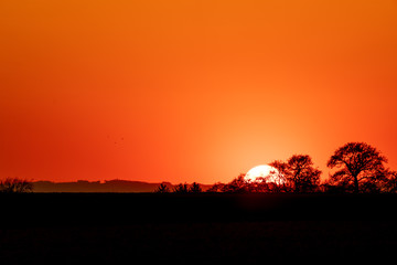 Fototapeta na wymiar Sonnenuntergang mit Bäumen und Büschen