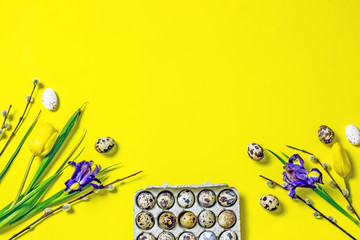  Easter frame on a yellow background twigs of yellow tulips, blue irises, pussy-willow twigs, quail eggs, top view, copy space. Yellow Creativity Easter Background with Flowers and Eggs