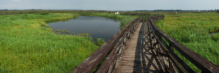 Kładka przez Narew © JacekBia