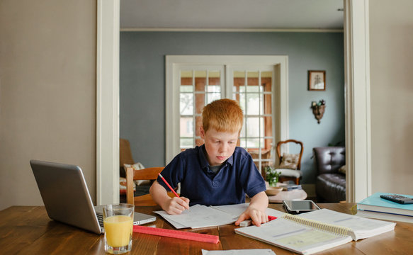 Homework Boy