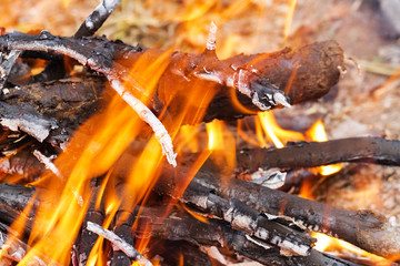 Closeup of blazing campfire, Campfire burning logs in large orange and yellow flames in close up of the wood aflame. Close up of a hot burning fireplace with flames and gloweing ember