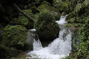 Beautiful landscape of cascade falls over mossy rocks, stones cover with moss, in a Mountain in Sichuan, China