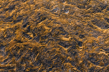 Beautiful stone wavy shape macro close up