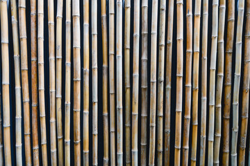 Beige bamboo stalks wall background close up