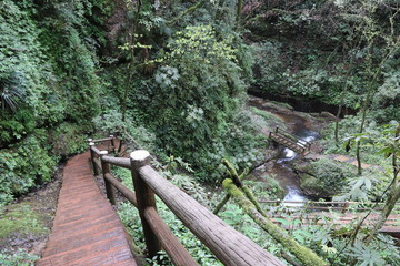 wooden pathway near a river in a mountain forest in Sichuan, China