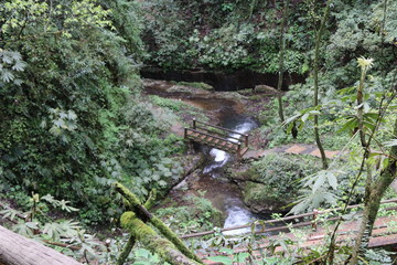  wooden bridge across a river in a mountain forest in Sichuan, China