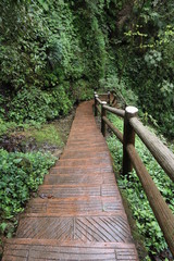 Fototapeta premium wooden pathway near a river in a mountain forest in Sichuan, China