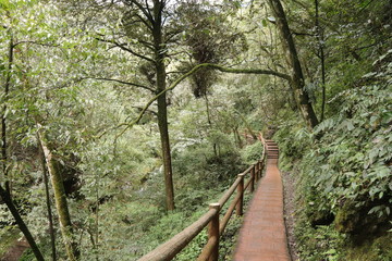 wooden pathway near a river in a mountain forest in Sichuan, China