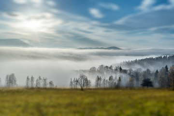 Mgły