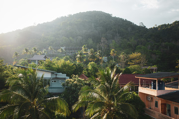 Fototapeta na wymiar Beautiful bright green palm trees jungle on the mountain hill with holiday hotels and villas in Ao Nang