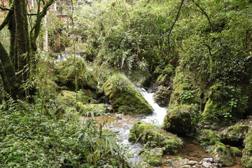 Obraz premium Beautiful landscape of cascade falls over mossy rocks, stones cover with moss, in a Mountain in Sichuan, China