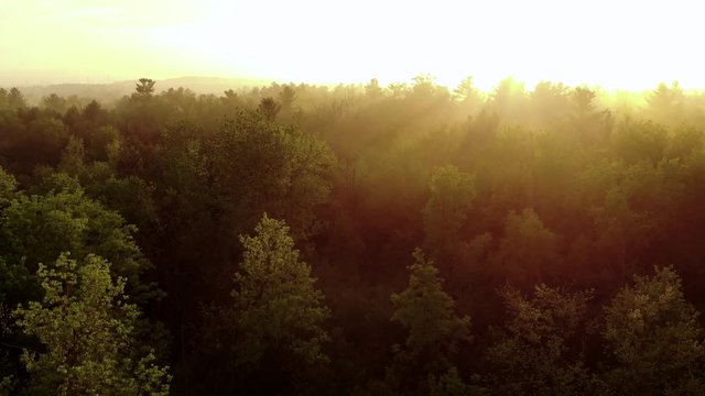 Aerial Footage Sunset and Mist over Altona Forest Ontario Canada