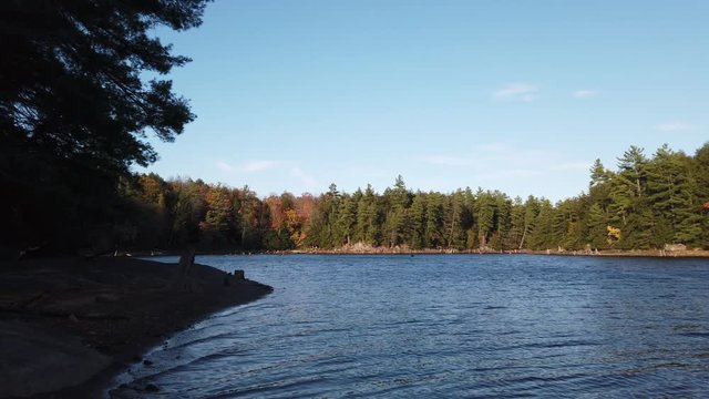 Autume fall forest and lake