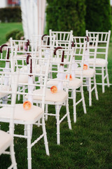 wedding ceremony in the woods among the trees on the green track