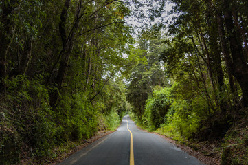 Fototapeta premium Carretera