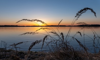 Trawy na tle zachodzącego słońca nad jeziorem mazurskim © Marcinwarmia