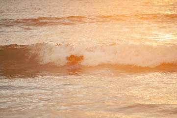 Fototapeta na wymiar Beginner surfer learns to row and ride on a training board in small waves in the ocean.