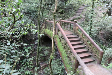  wooden bridge across a river in a mountain forest in Sichuan, China