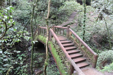 Fototapeta premium wooden bridge across a river in a mountain forest in Sichuan, China