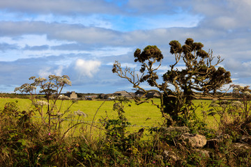 Madron (England), UK - August 16, 2015: Typical cornwall landscape, Cornwall, England, United...