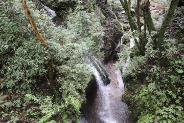 Beautiful landscape of cascade falls over mossy rocks, stones cover with moss, in a Mountain in Sichuan, China