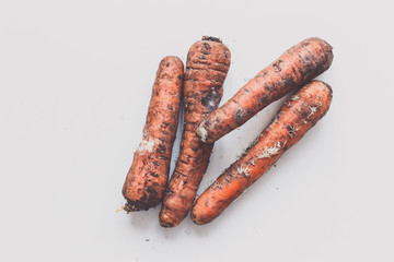Rot carrots with fungus on white backdrop. Top view