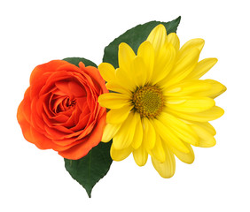 yellow daisy and orange rose