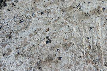 Texture of old gray concrete wall for background. Gray concrete wall as background
