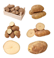 Fototapeta na wymiar russet potato