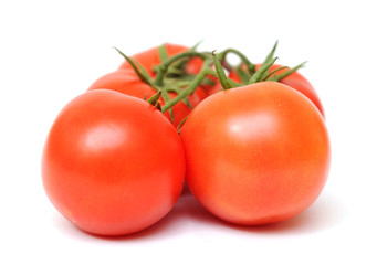 tomato on vine