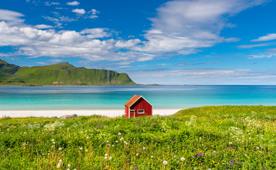 Small red hut on a beach in summer in Lofoten Islands Norway
