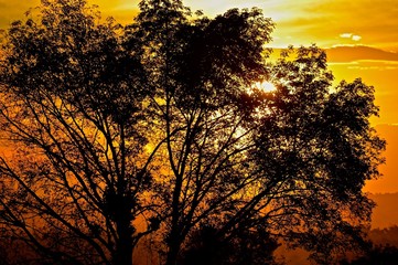 Detrás el atardecer 