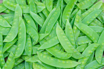 green snow pea pods background.