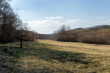 Gyadai meadow near the village of Szendehely, Hungary.