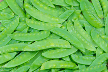 green snow pea pods background.