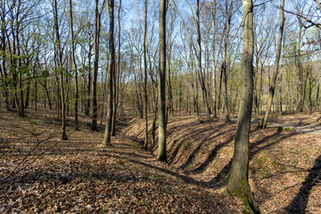 Hiking trail in the Naszaly mountain, Hungary