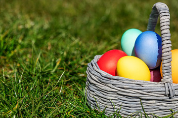 Multi-colored Easter eggs in a basket on the grass, the background is blurred, shallow depth of field, selective focus. Easter holiday concept