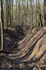 Hiking trail in the Naszaly mountain, Hungary