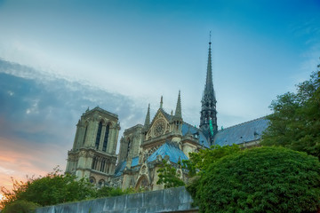 Fototapeta na wymiar Cathedral of Notre Dame de Paris
