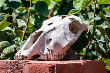 Antioquia, el retablo más grande del mundo.