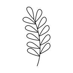 Isolated leaf icon design of Floral nature plant garden ornament botany decoration and life theme Vector illustration