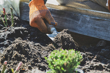 Gardening at home. Plant herbs in the soil. Gloves for work in the kailyard. Preperation for bushes. Home agricaltural work at the farm. 